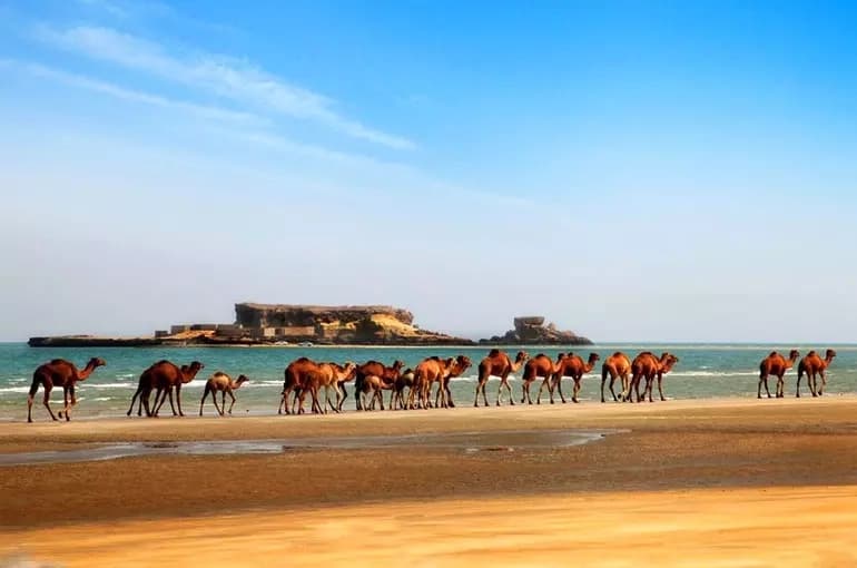 Naz Islands of Qeshm | A Natural Wonder in the Persian Gulf