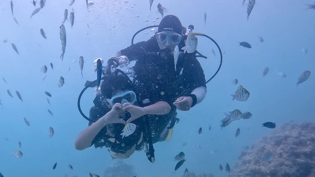 کلوپ های غواصی و تفریحات دریایی قشم کاور کلوپ های غواصی و تفریحات دریایی قشم