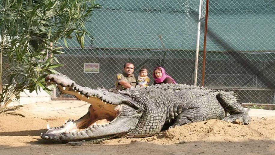 مجموعه های تفریحی