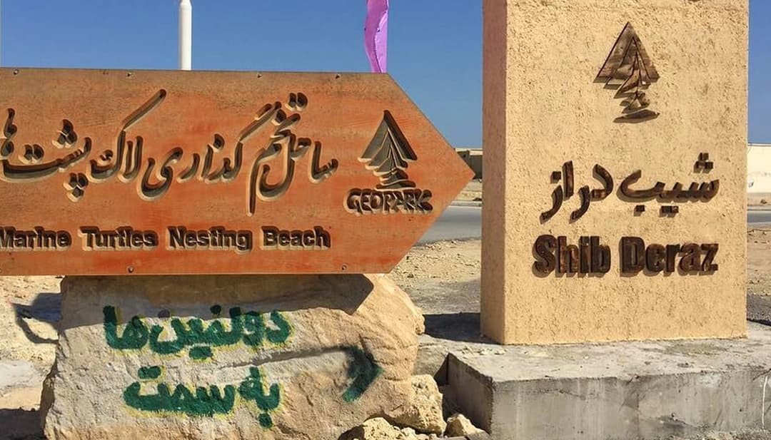 روستای شیب دراز قشم | راهنمای کامل ساحل تخم گذاری لاک پشت و دسترسی به جزیره هنگام