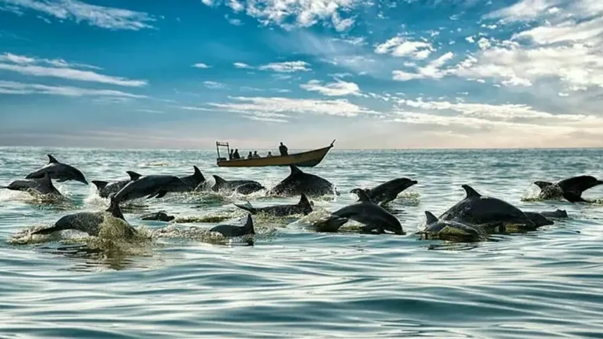 گشت ویژه قشم و هنگام