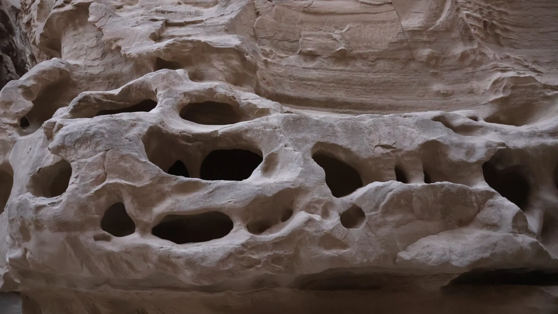 گشت ویژه قشم و هنگام