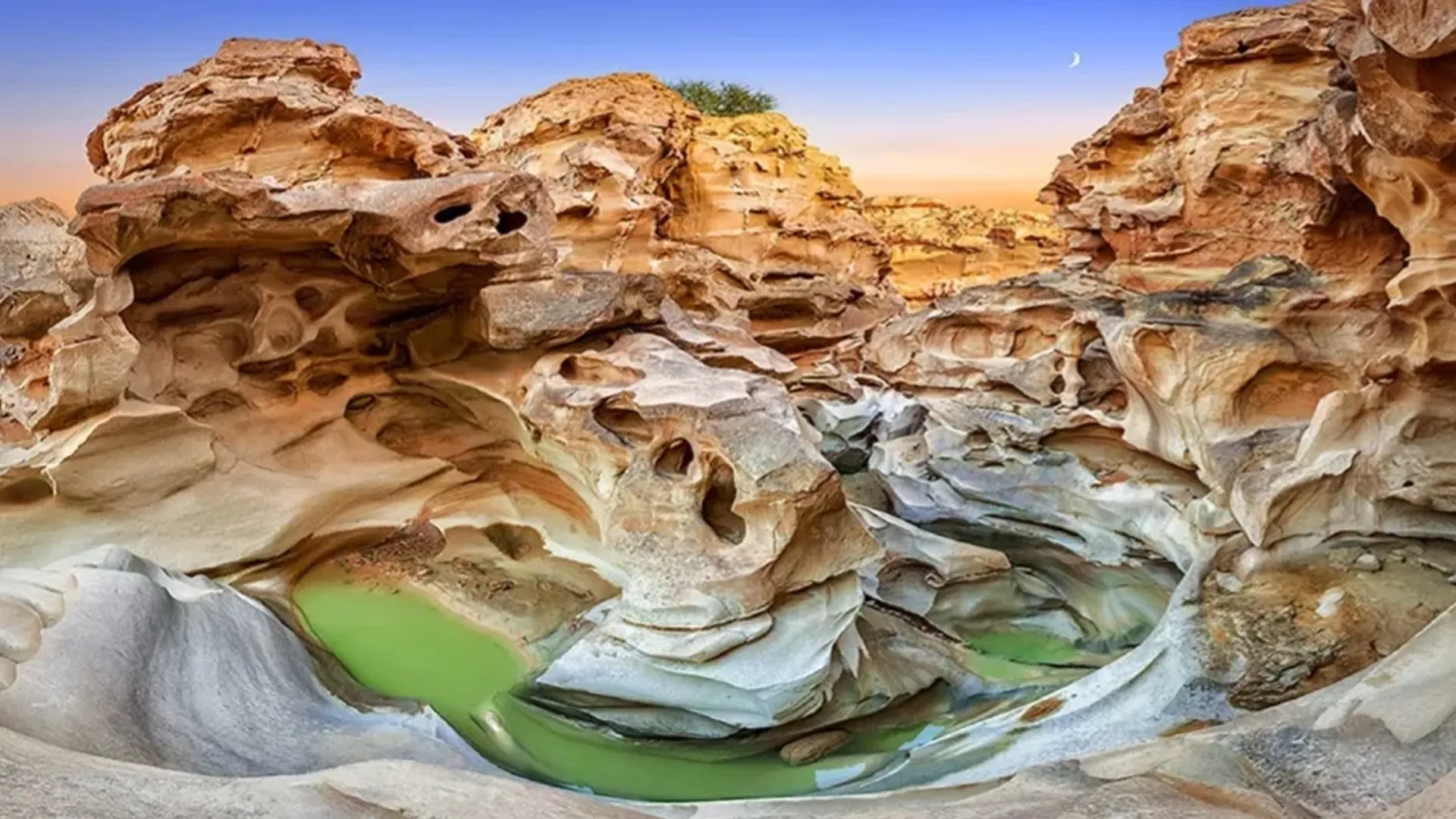 گشت ویژه قشم و هنگام